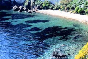 ischia: spiagge delle monache