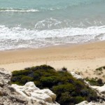 Sicilia:-la-Riserva-Naturale-Orientata-di-Torre-Salsa