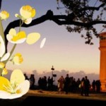 Sicilia:-la-Festa-della-Primavera-il-21-marzo-a-Agrigento
