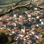 Sardegna:-Sagra-del-vino-il-7-e-8-maggio-a-Atzara