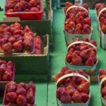 Berry in Organic Market