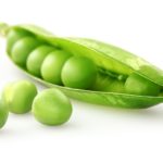 A fresh green pea pod on a white background