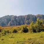 Sicilia:-Riserva-Naturale-Orientata-Bosco-della-Ficuzza,-Rocca-Busambra,-Bosco-del-Cappelliere-e-Gorgo-del-Drago