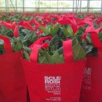 Dall8-al-10-marzo-regala-una-gardenia-dellAISM
