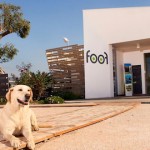 Foof, il museo del cane a Mondragone