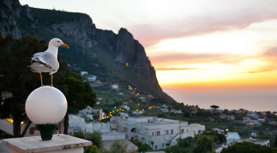 Locali Notturni Capri